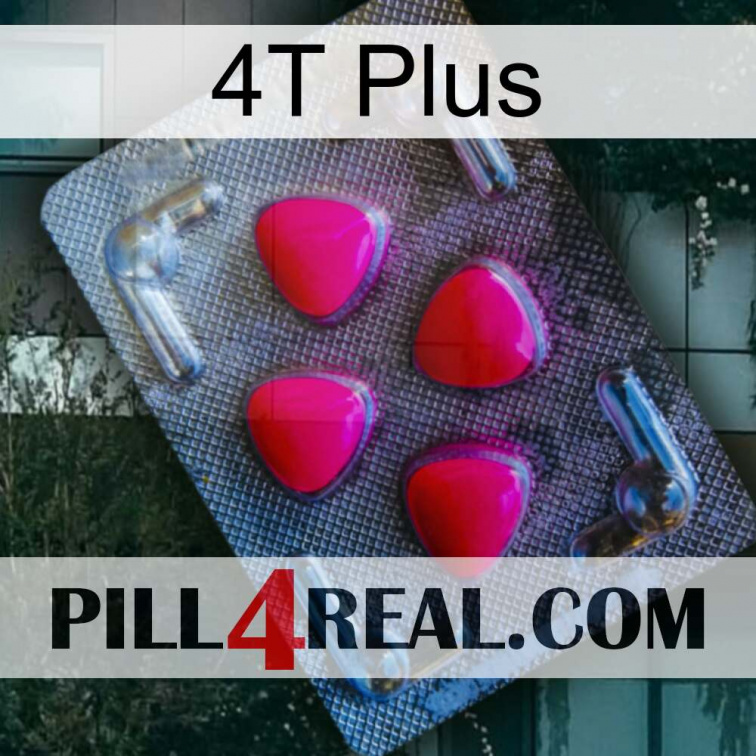 4T Plus 13